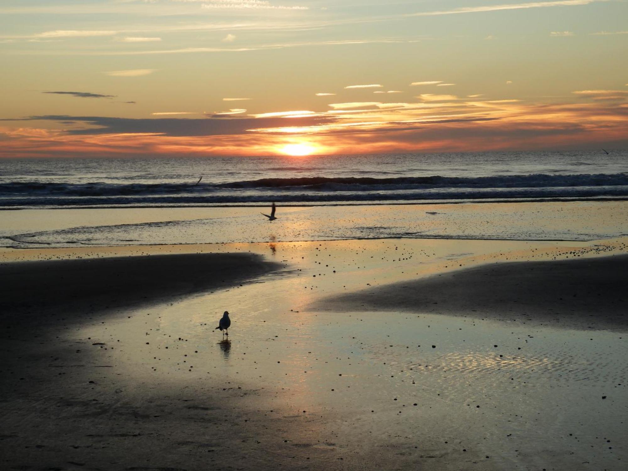 Chez Blandine & Pol Bed & Breakfast Hardelot-Plage Exterior foto